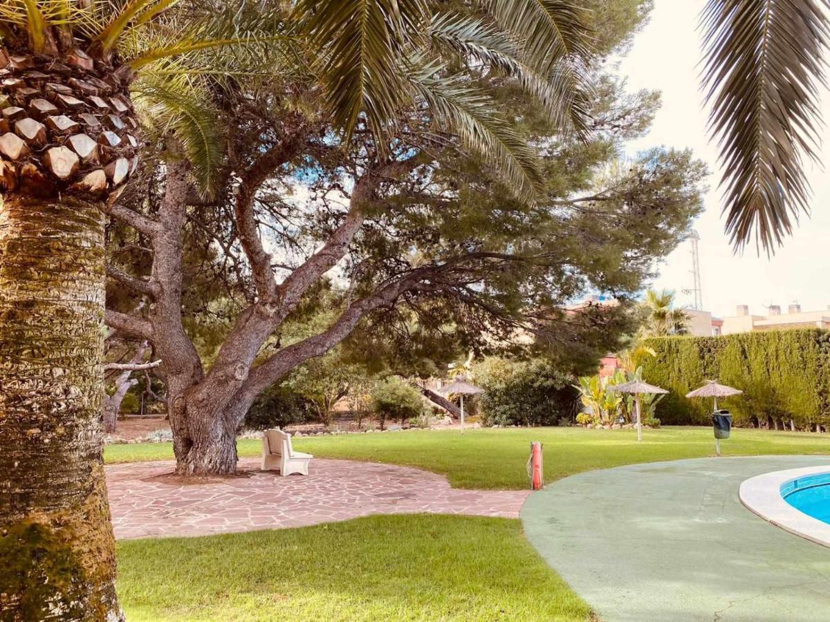 Villa Paula Alcossebre Mar Y Montana Eksteriør bilde